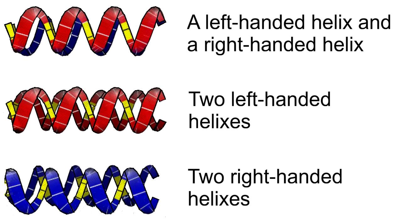 Helicles Gravity in a simple physics model
